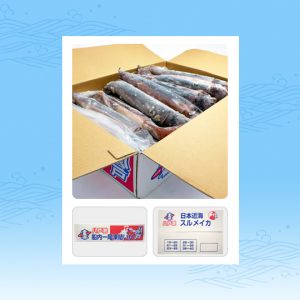 船凍スルメイカ（バラ凍結）